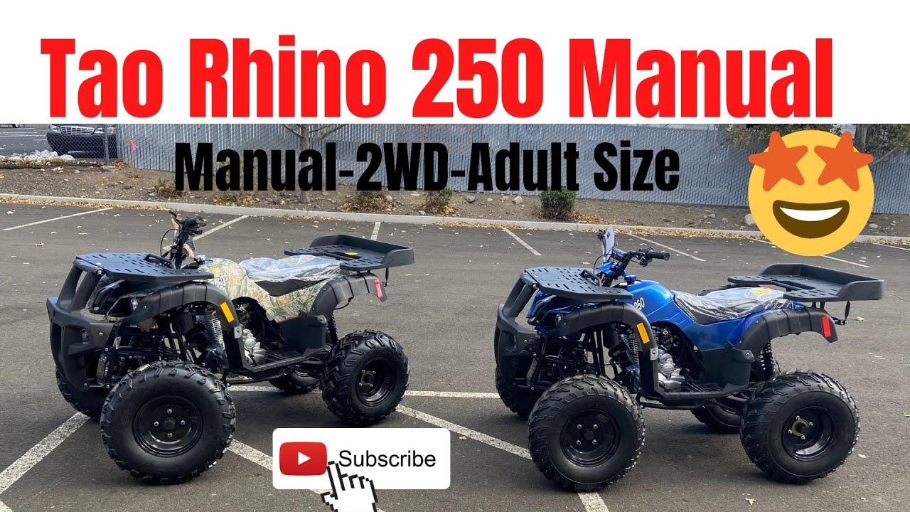 Обзор TaoTao Rhino 250. Стоит ли покупать квадроцикл Honda или Yamaha?