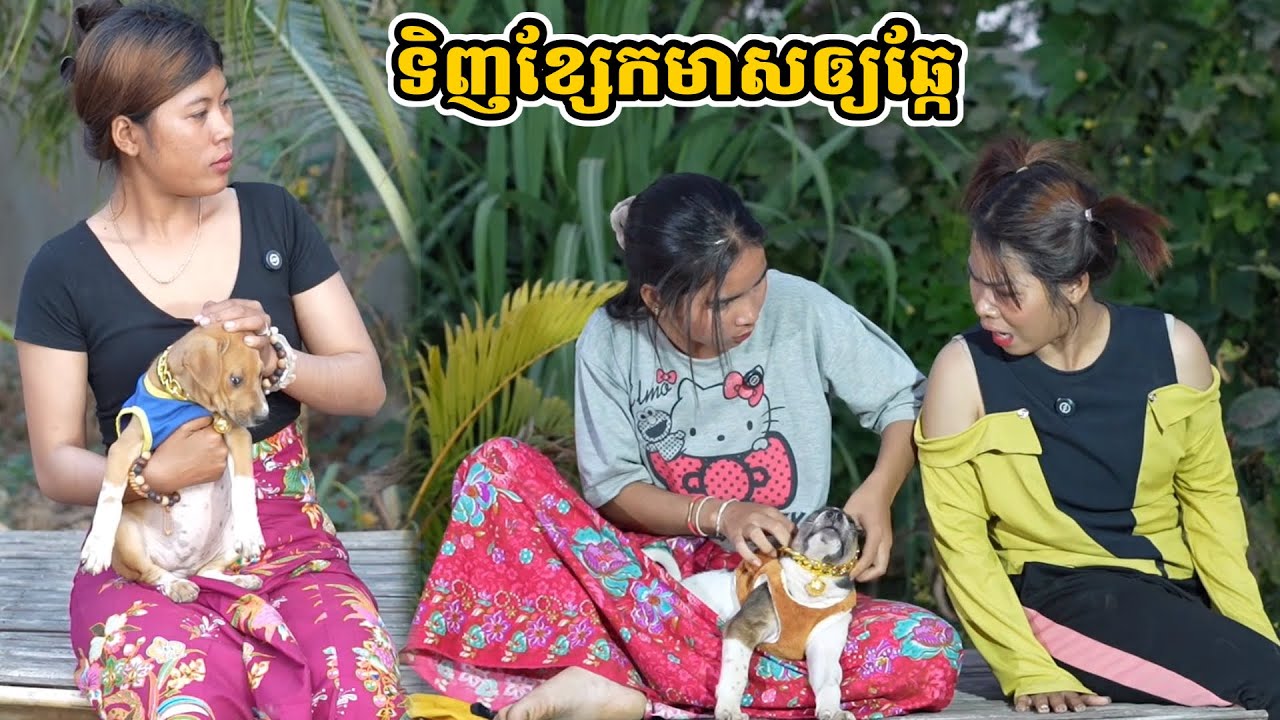 រឿង ទិញខ្សែកមាសឲ្យឆ្កែ