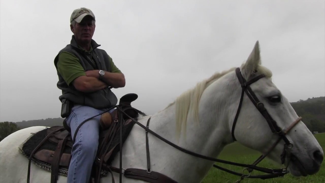 Walking, Trotting, Cantering, Galloping: What's the difference?