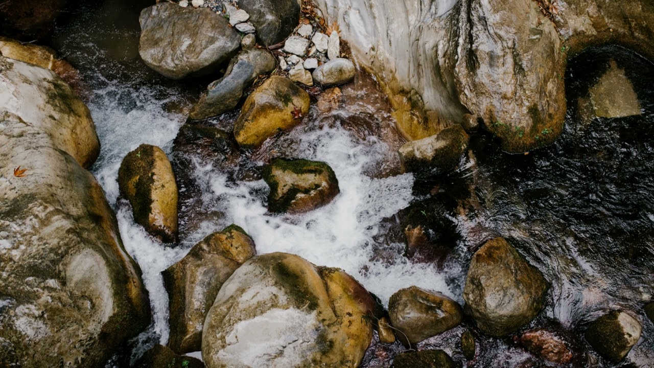 Kabbelend Beekje: Natuurgeluiden voor Ultieme Ontspanning