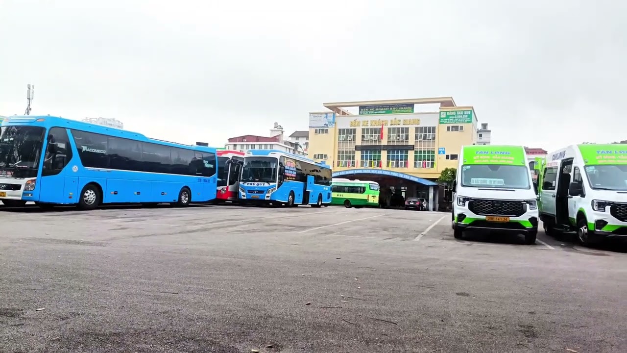 Mọi người xem hết video mới biết hoa lá đi ở đâu nhé 