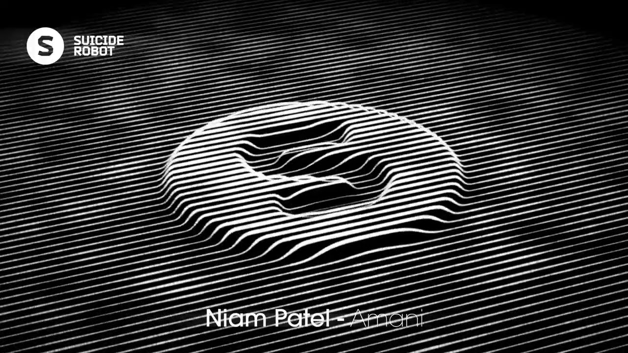 Niam Patel - Amani (Afro House / Deep House | Suicide Robot)