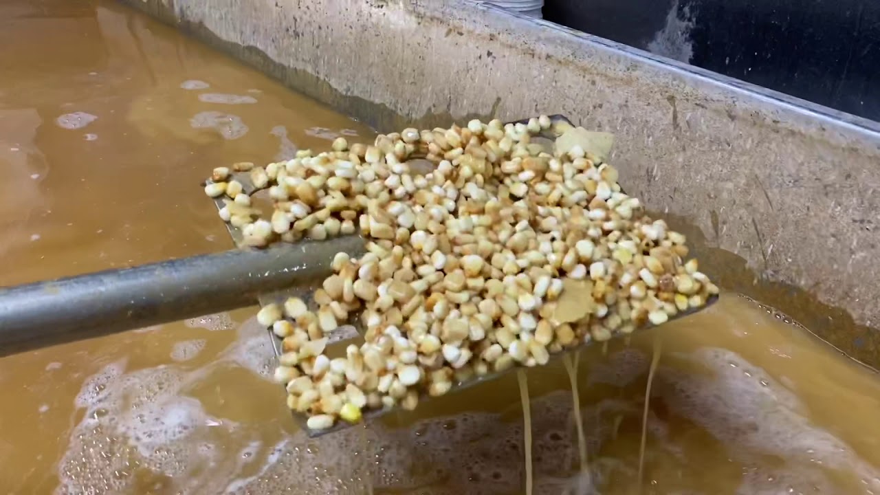 La Jolla Tortilleria
