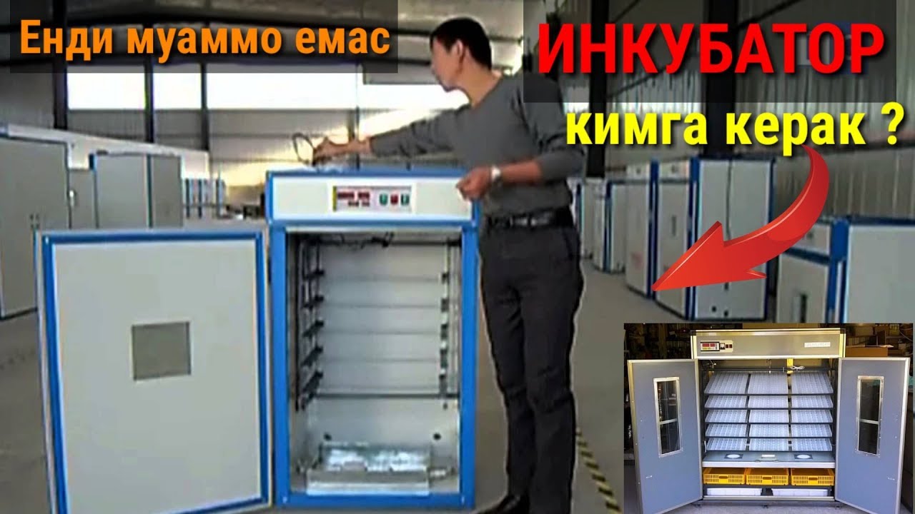Инкубатор Кимга Керак Булса Энди Муаммо Эмас...