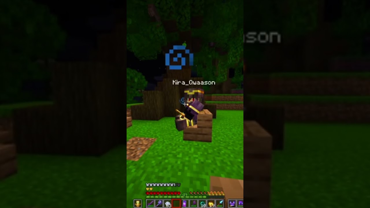 Minecraft @fanMetaaniemc