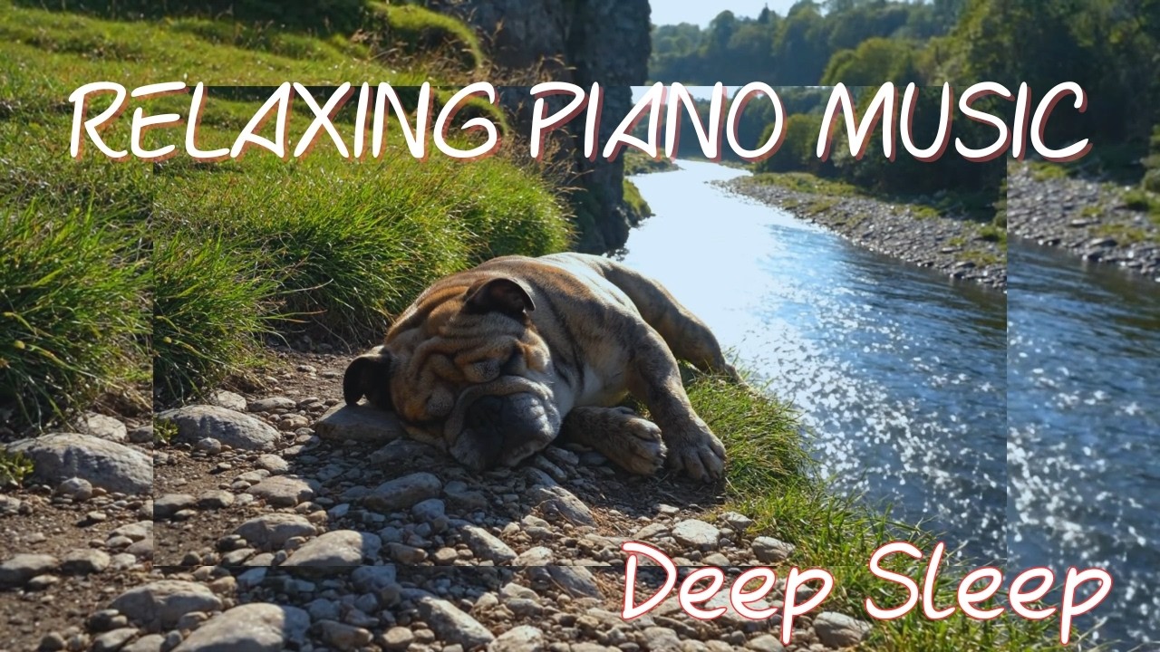 Healing Piano Melodies & Nature Water Sounds