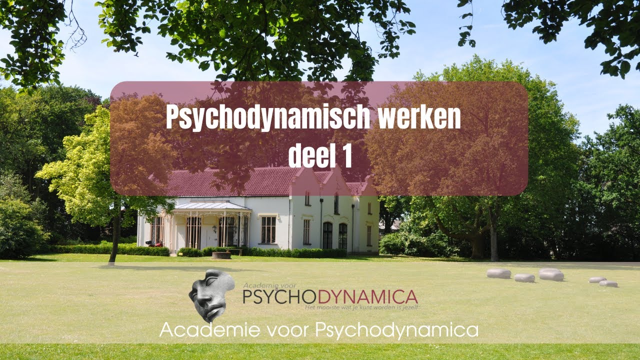 Psychodynamisch werken deel 1