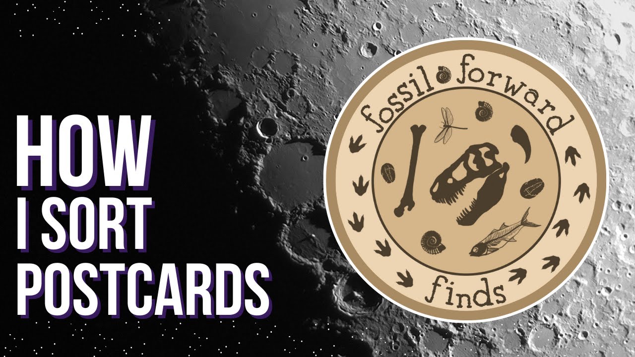 How I Sort Postcards to Sell on eBay:  Fossil Forward Finds