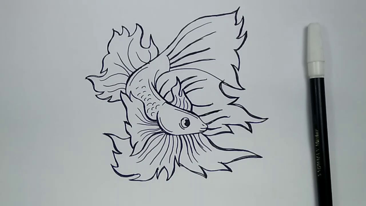 How to Draw a BETTA FISH Step by Step