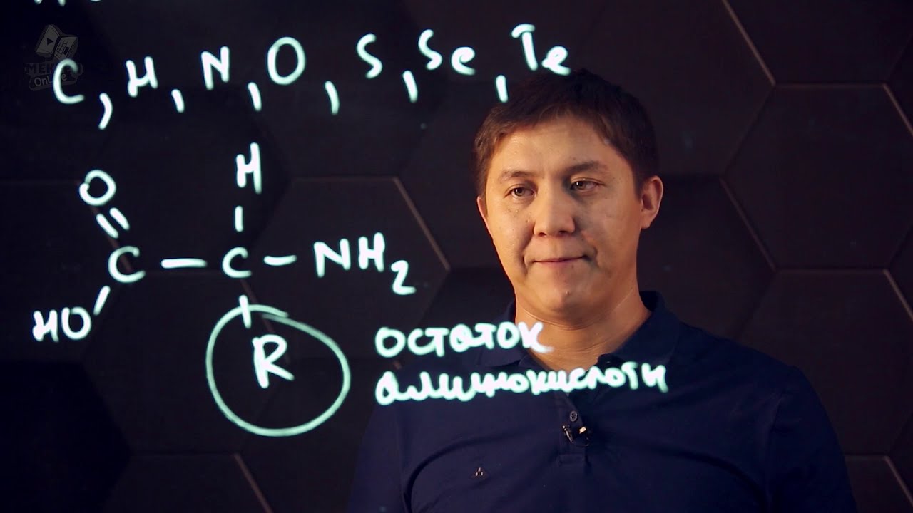 Аминокислоты. Белки. 1 часть. 9 класс.