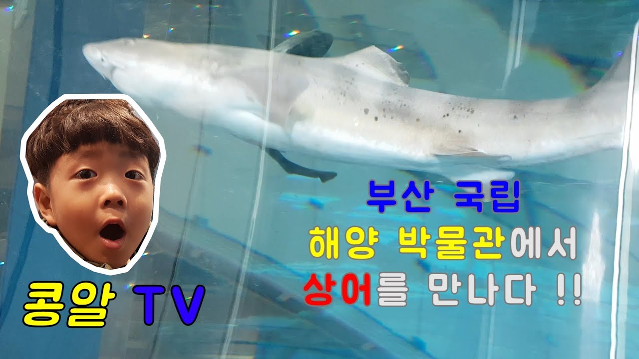부산 국립해양박물관을 가다!