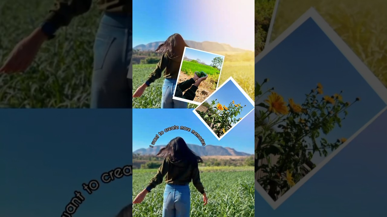 🌿Instagram story ideas with nature | #nature#instastory#photoediting#instagram#edit