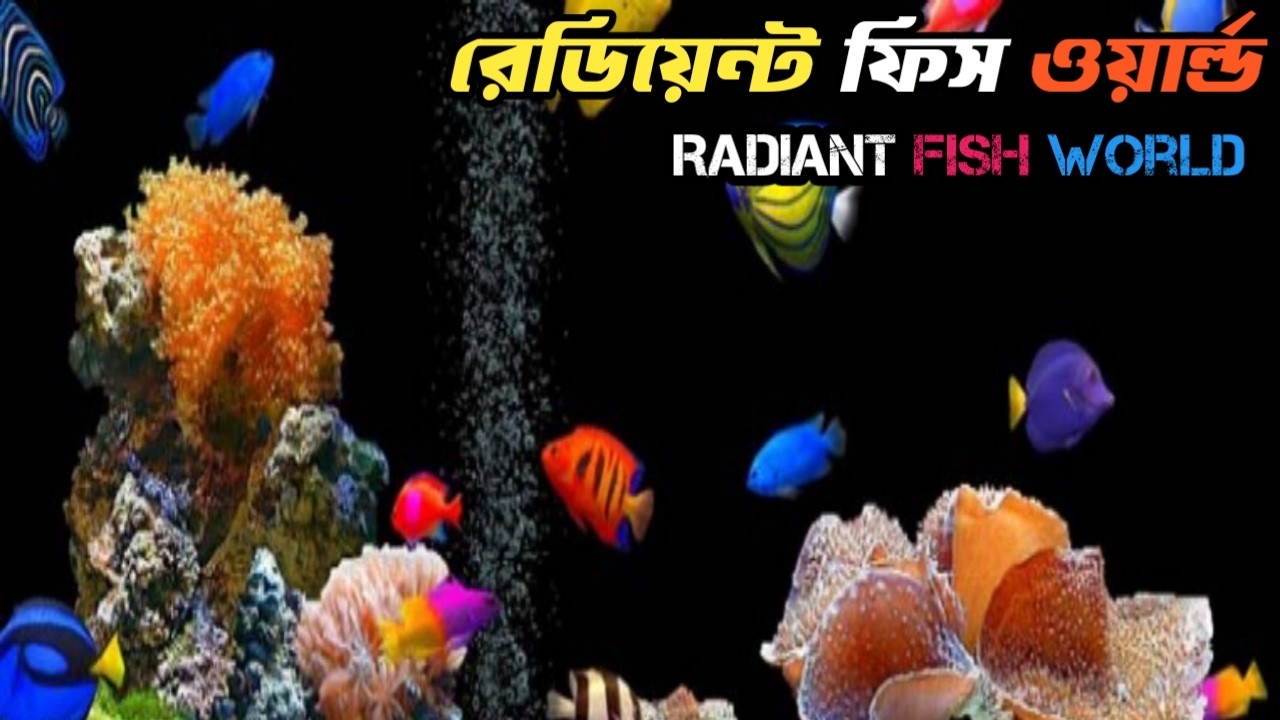 রেডিয়েন্ট ফিশ ওয়ার্ল্ড || Radiant Fish World || Cox's Bazar, Bangladesh