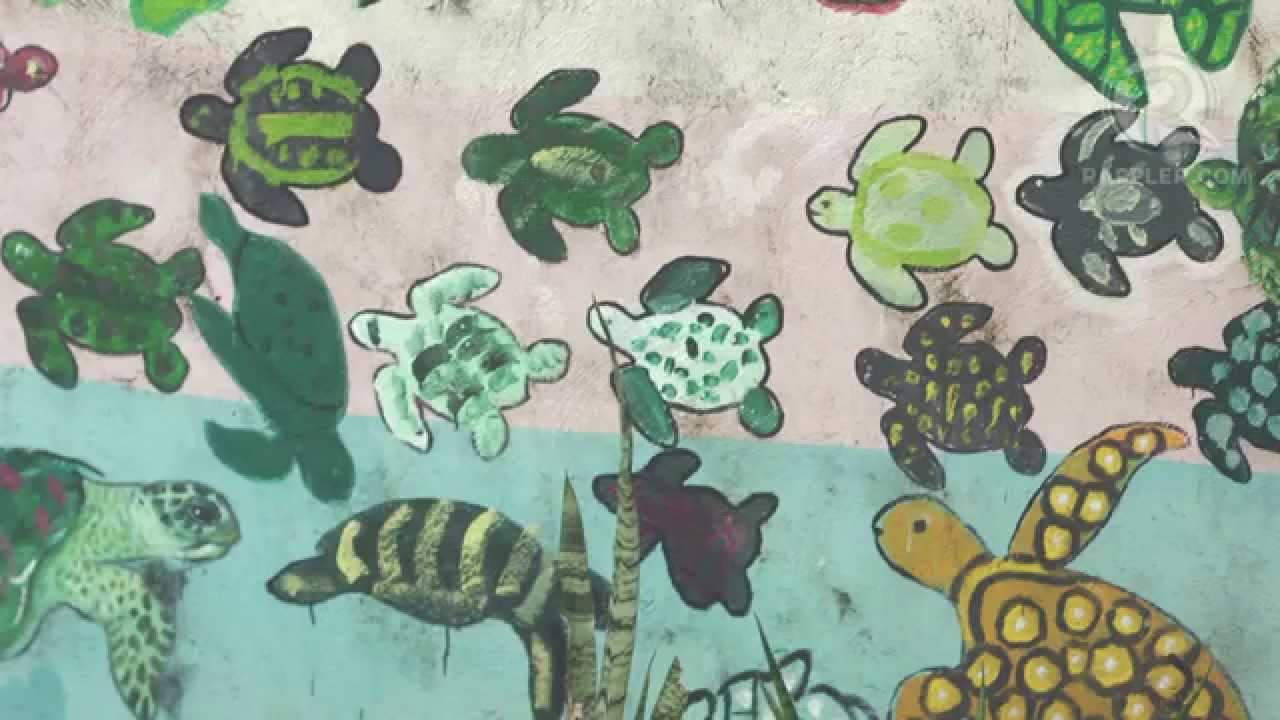 Anvaya Cove: For the love of pawikans