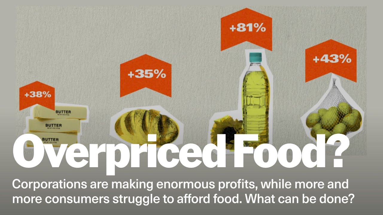 How Can We Curb the Power of Corporations? #economy #food #agriculture