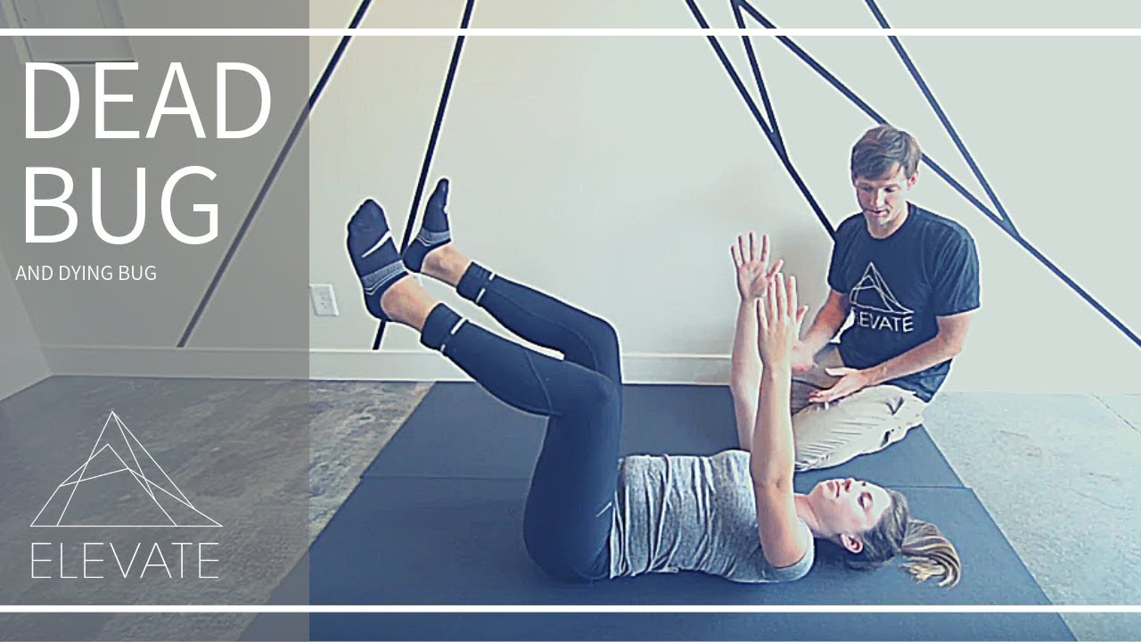 Dead Bug and Dying Bug