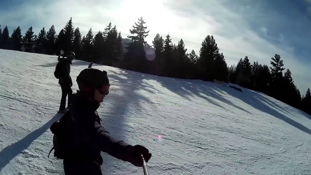 Sled dogs snowskates Borovets - 05.03.2016