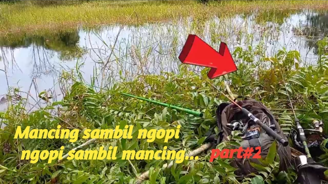 Mancing Kerandang,Mancing Ikan Cantik di Spot yang cantik part#2