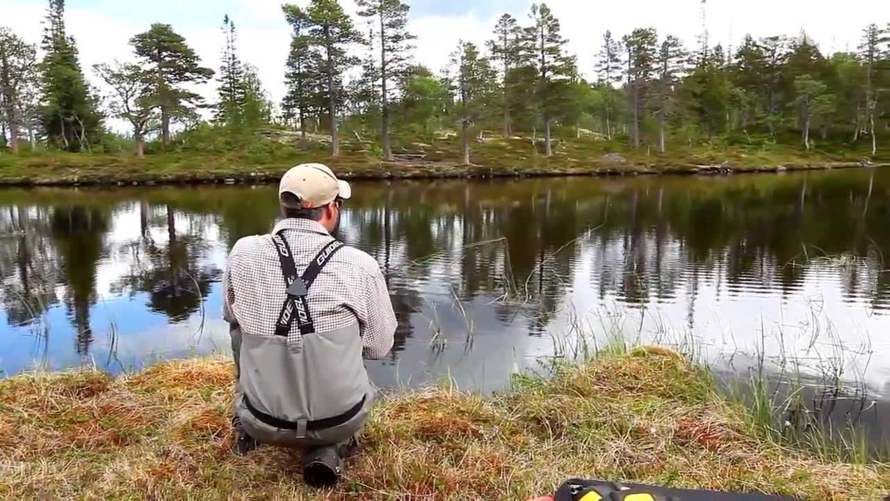 Fisching #7 - På fjellvann med tørrflue og Matt Hayes