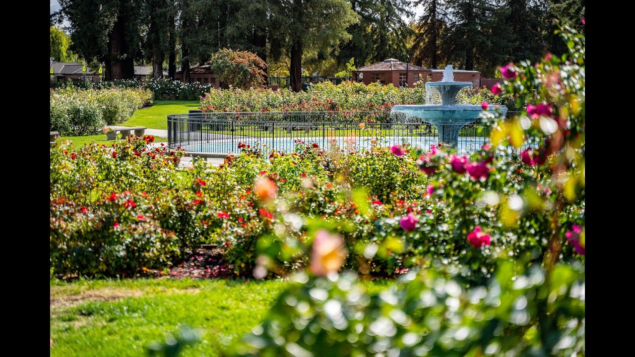 Welcome to The Rose Garden - A Gorgeous & Historic Neighborhood - Andy Sweat KW Bay Area Estates