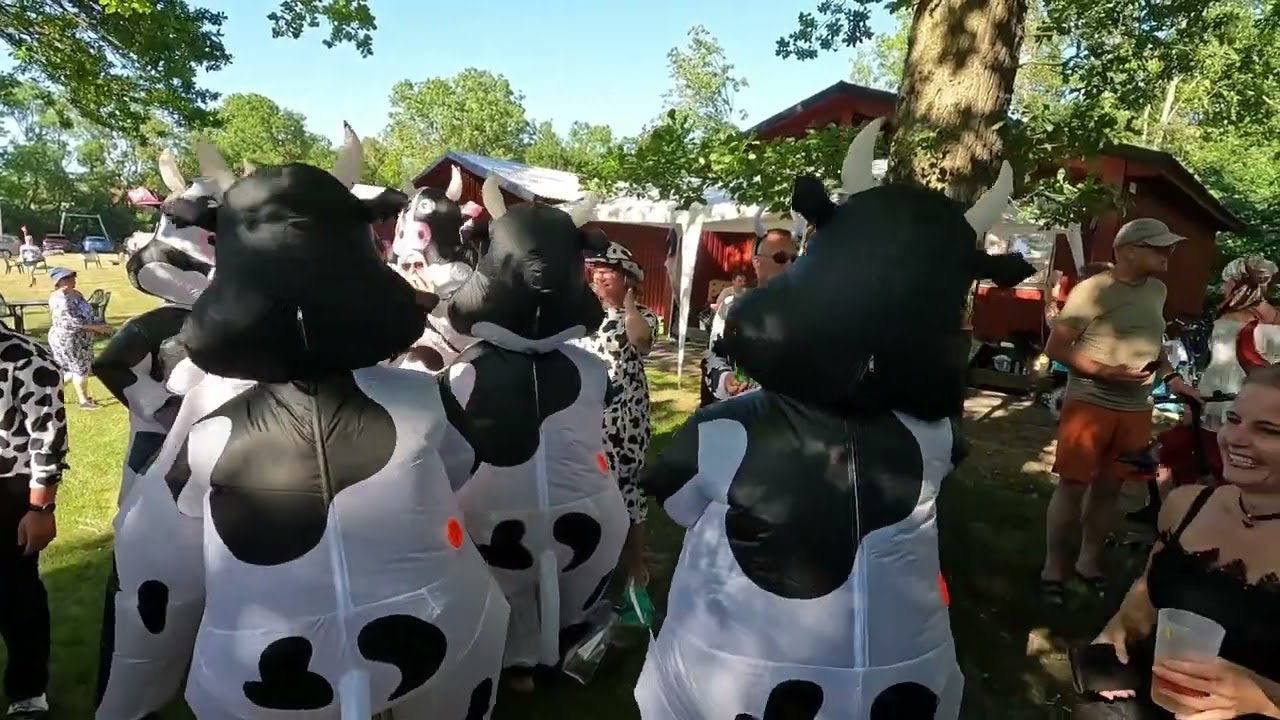 Callinaz, Ölandsveckan 2025 Maskeradparty