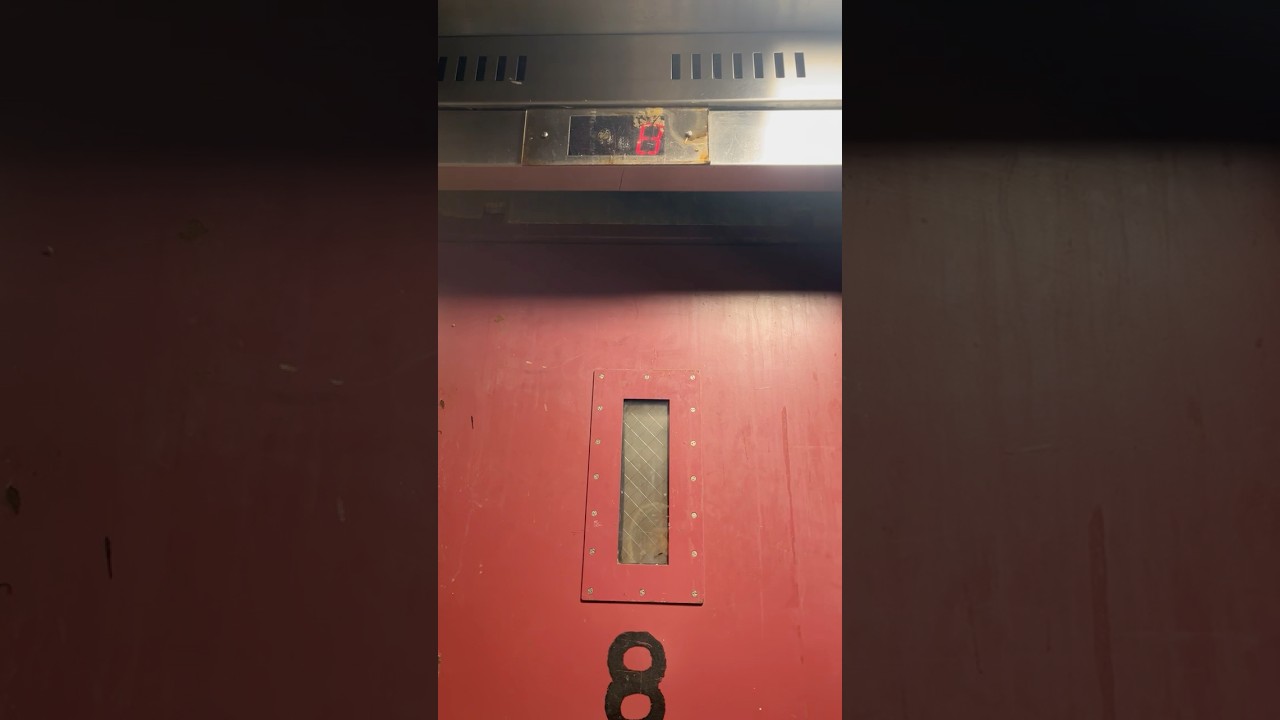 NYCHA Riis high,rise House’s riding elevator(A)8th floor L building 1115 FDR Drive