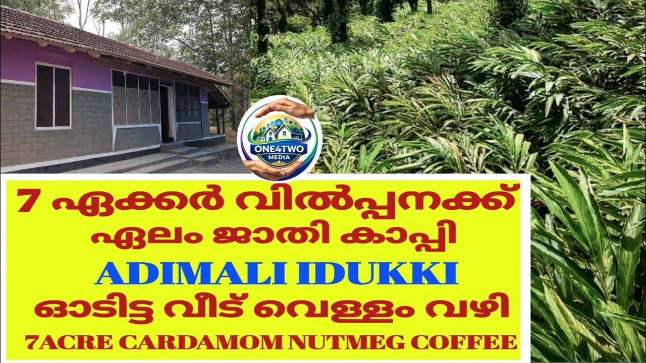 7 ഏക്കർ ഏലം ജാതി കാപ്പി വീട് വഴി വെള്ളം /7 Acre Cardamom Nutmeg Coffee house road 