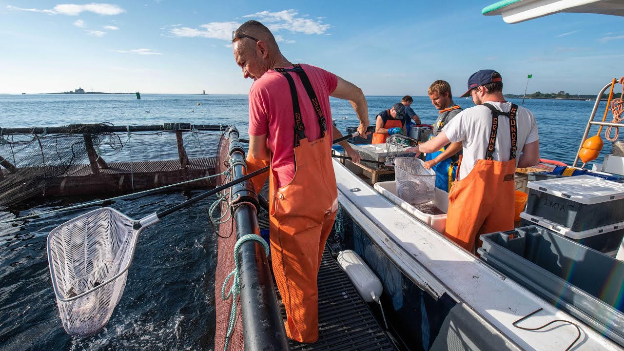 The AquaFort: Revolutionizing local aquaculture in New Hampshire