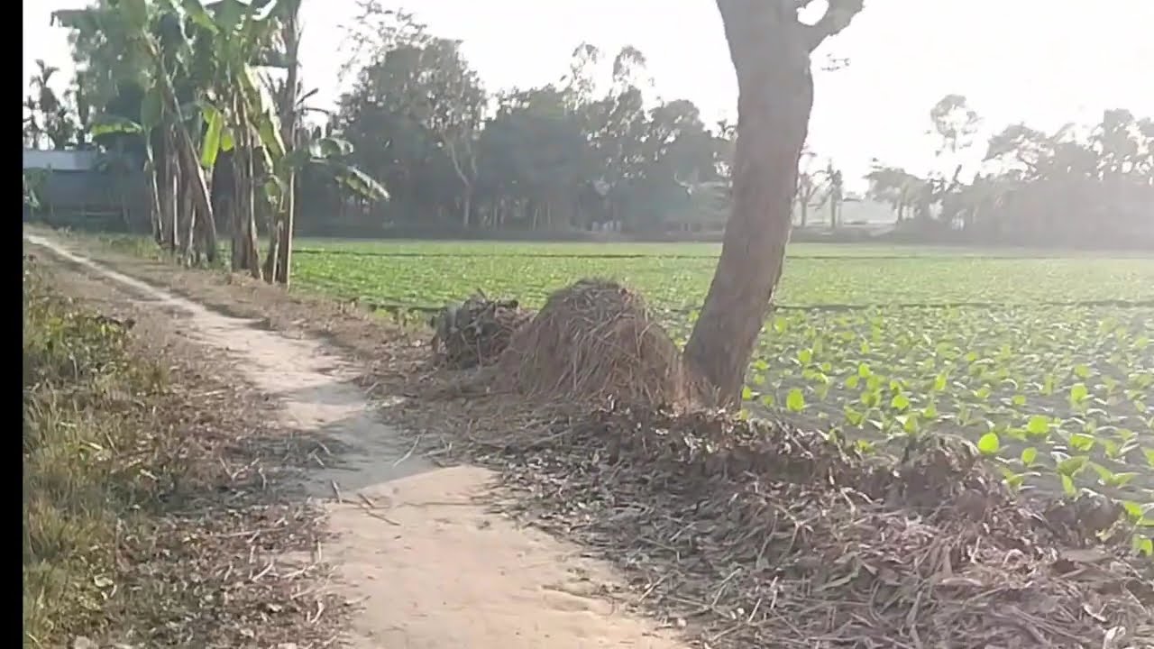 মন মোৰ ৰসনা||এই দেহাৰ মূল্য নাই|| Mon Mor Rosona ||Zubeen Garg New