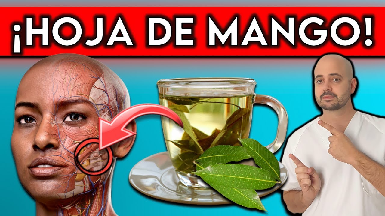 9 ENFERMEDADES que CURA la HOJA DEL MANGO || &iquest;Como DEBES consumirlo?
