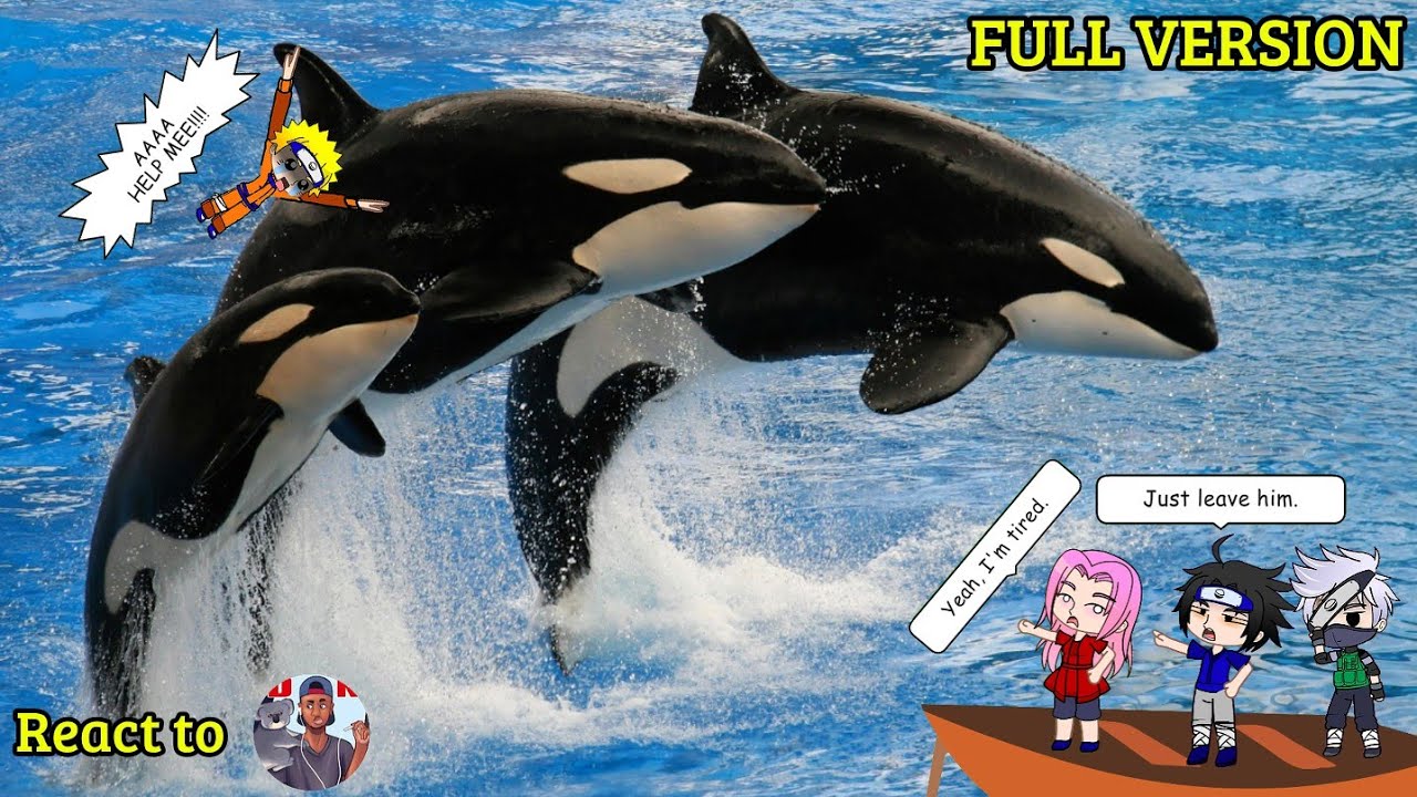 Team 7 Naruto React to Whale Gang Wars by Casual Geographic | Collection of Ocean Life 