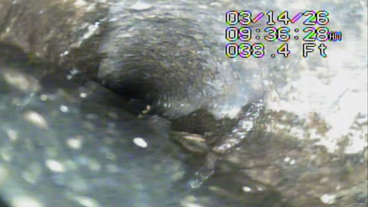 Reilly Sewer inspection