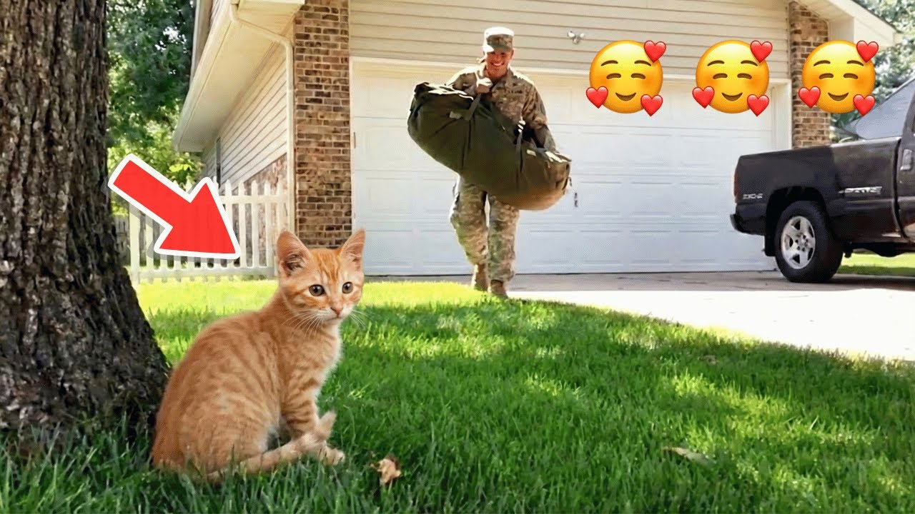 🥰🥰🥰Years Apart Come to an End — This Cat’s Reunion with His Soldier Dad Says It All