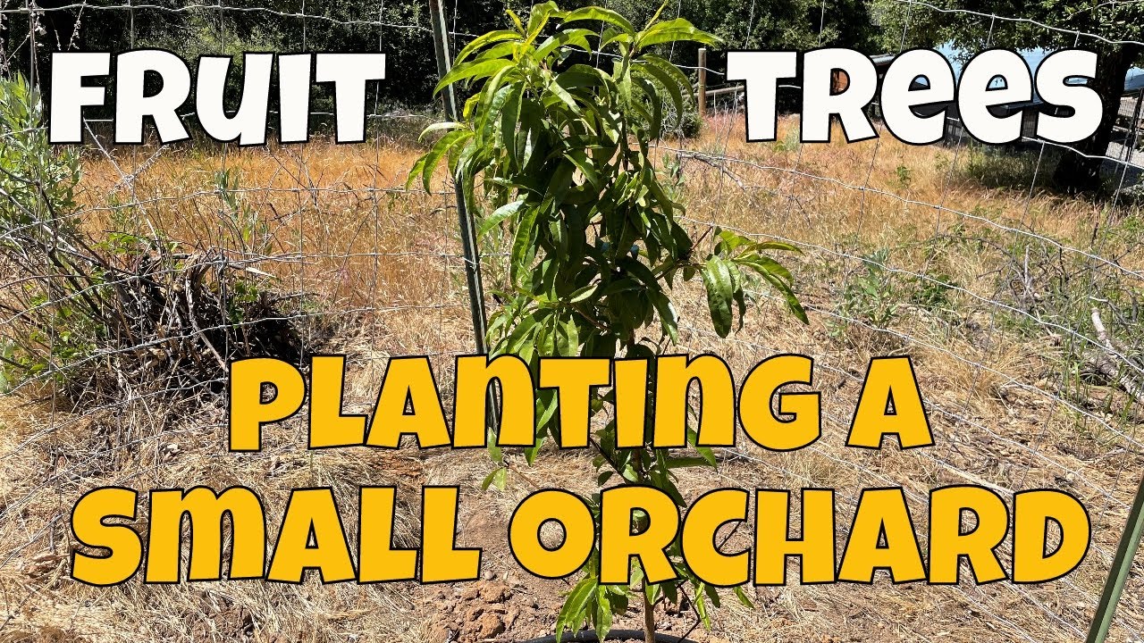 Planting A Small Orchard? &ndash; Watch How We Upgrade Our Weekend Homestead