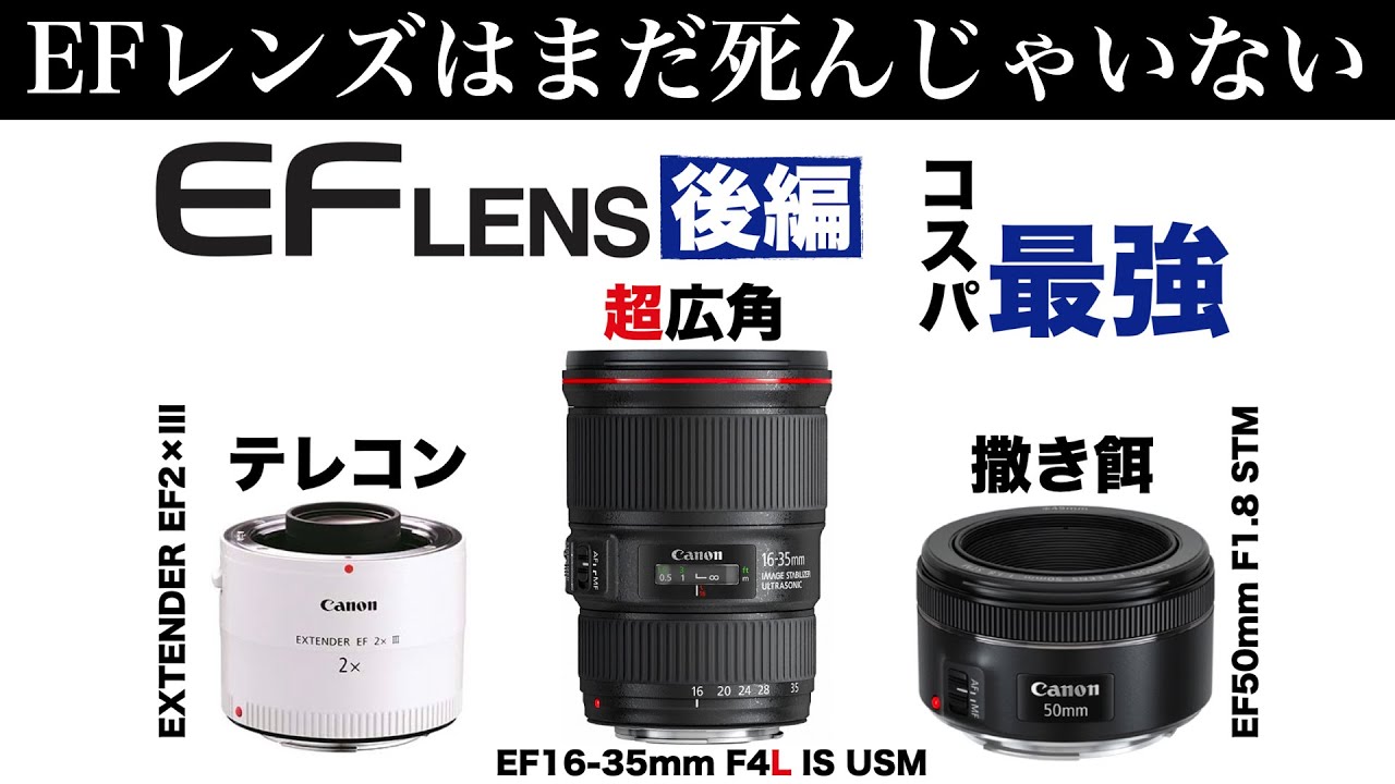 【EOS R5/R6/EFレンズ②】コスパ最強レンズで見る描写の違い｜周辺部の流れって？テレコンって？｜EFレンズはまだ死んじゃいない ※但しイケる方は迷わずRFレンズを[Canon]