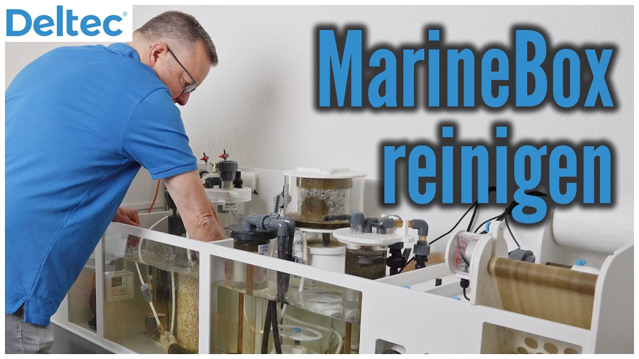 So reinigst du die Deltec MarineBox richtig | Deltec