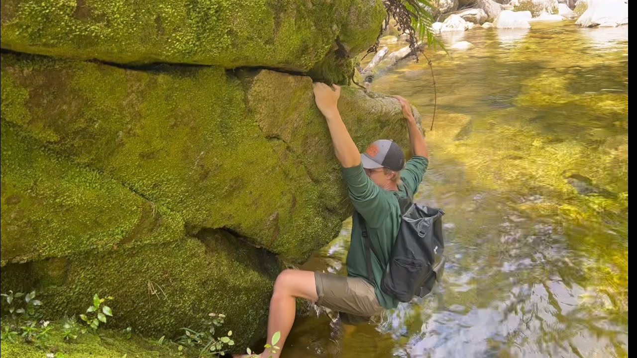 Abel Tasman Bushbash and canyoning with Kaifi