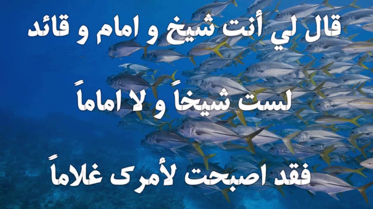 کنت میتا فأصبحت حیا - مولانا جلال الدين البلخی الرومي