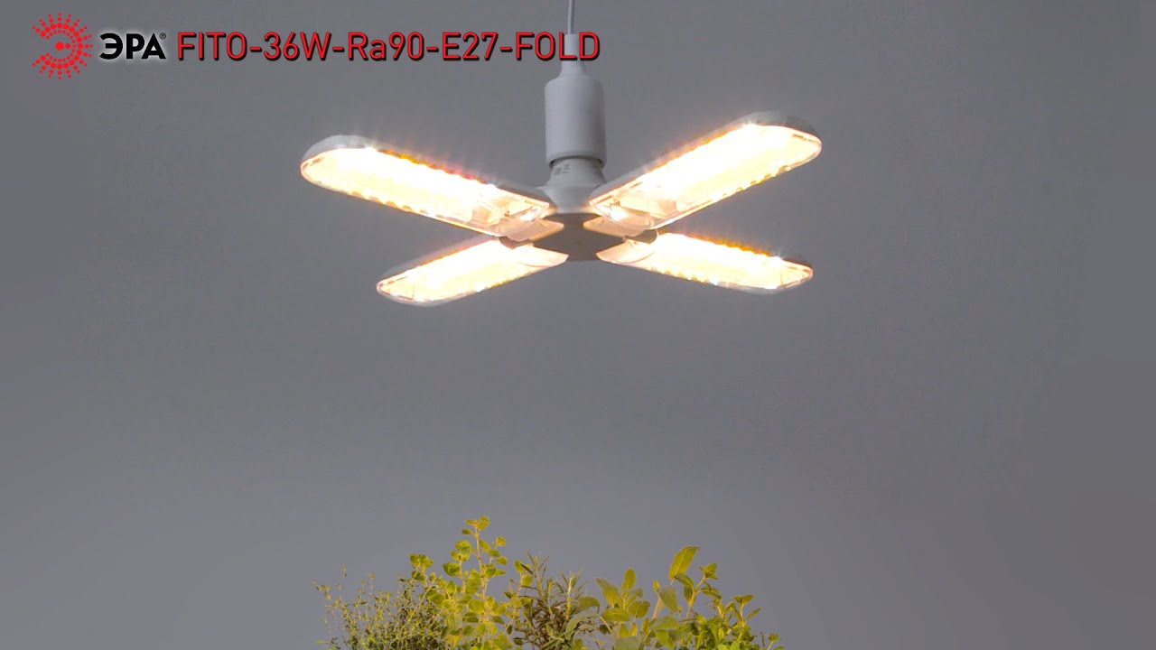 Фитолампа для растений светодиодная ЭРА FITO-36W-Rа90-E27-FOLD 4-х лепестковая полного спектра
