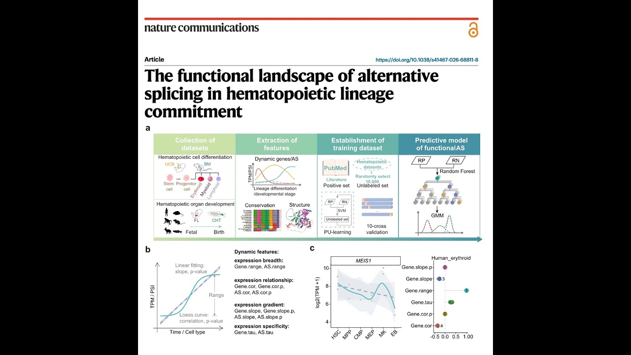 648-FAScore: Model for Functional Alternative Splicing