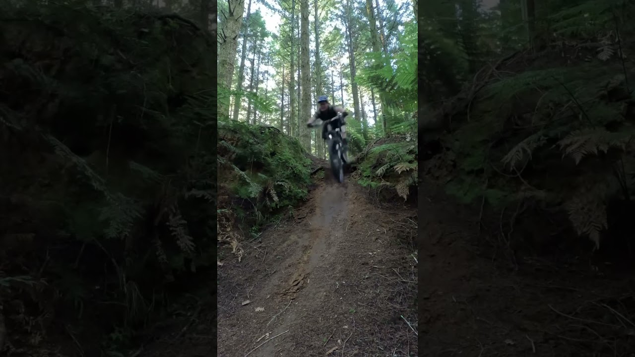 #mtb #mountainbikeroute #mountainbiketrail #fun #downhill #mtbtrail #mtbnz #adventure #new #gopro