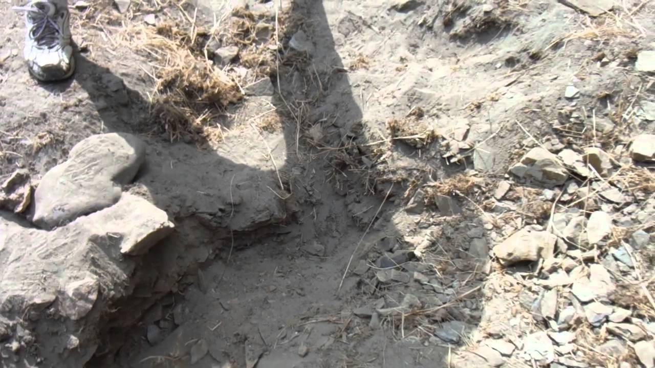 Highbanking for Gold - Original strike with David & David - Klamath River Pay Dirt