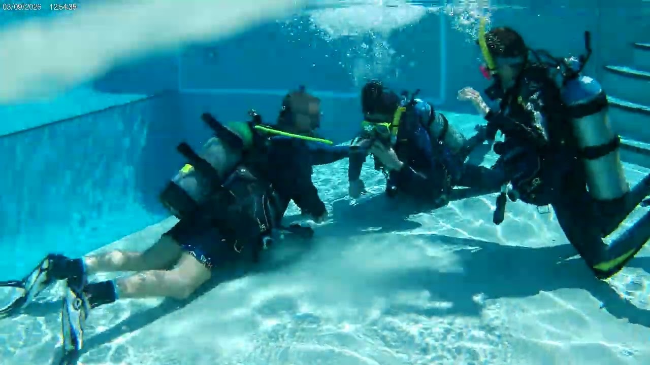 dive training 2 pcb