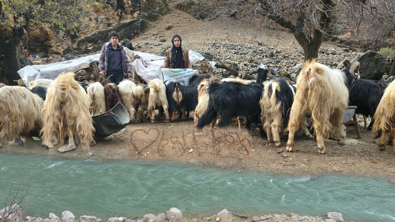 🏔️ Жизнь в пещерах в горах Загрос | 🐐 Кочевой образ жизни вдоль реки Херсан
