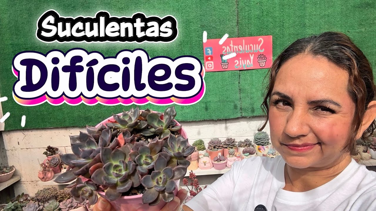 Estas suculentas son difíciles 