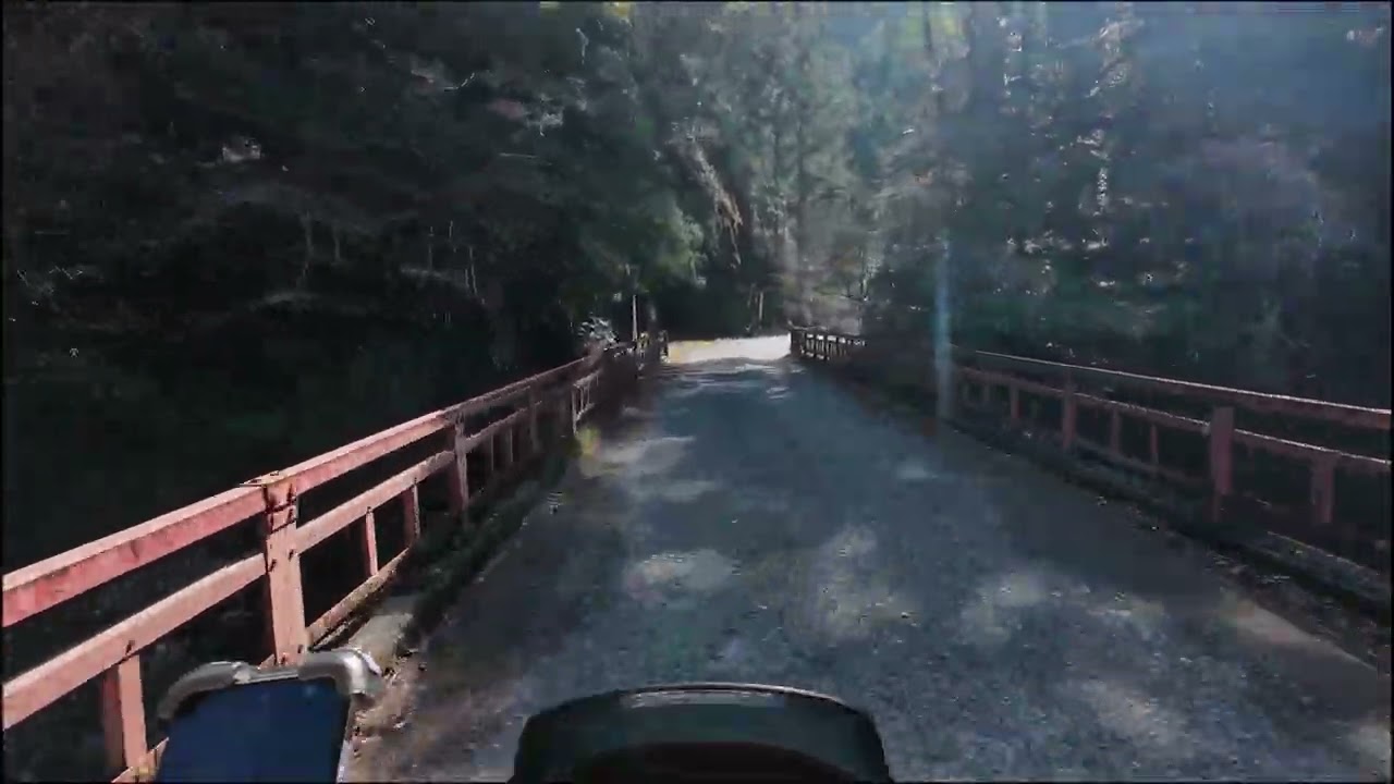 静岡県道389号水窪森線峡谷部分