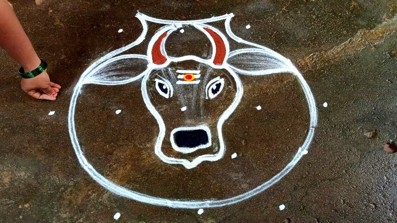 Maatu Pongal kolam|5*3sankranti gangireddu muggulu|basavanna muggulu|Thaipongal kolam Super rangoli
