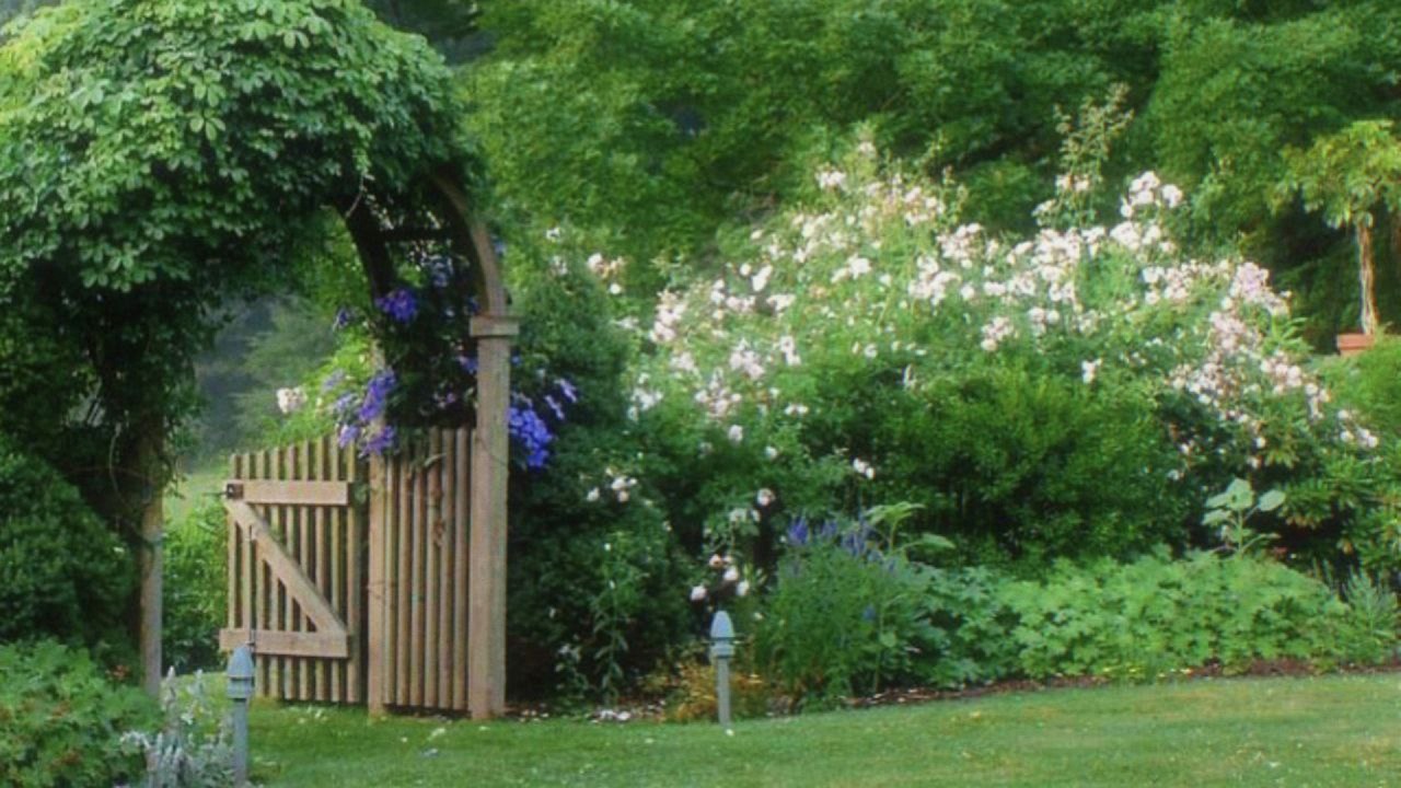 a quiet playlist for a quiet morning at the garden🌿 (studying & relax)