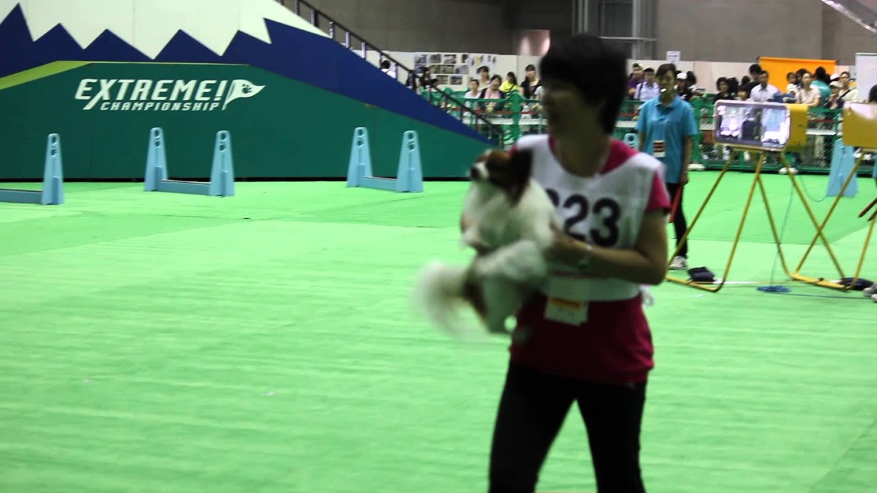エクストリーム決勝大会2013・ハイスピード・パピヨンライクル