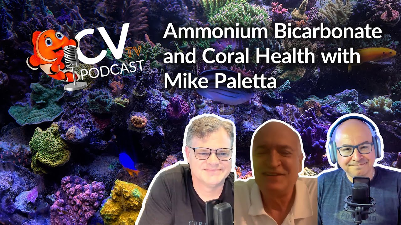 Ammonium Bicarbonate and Coral Health with Michael Paletta